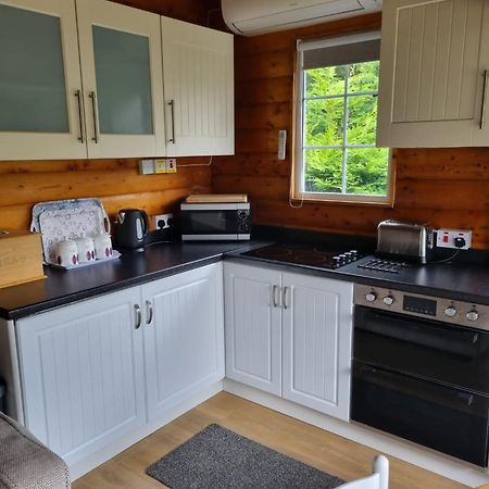 Mountain View Log Cabin In Snowdonia Nr Coed Y Brenin Tanygrisiau المظهر الخارجي الصورة