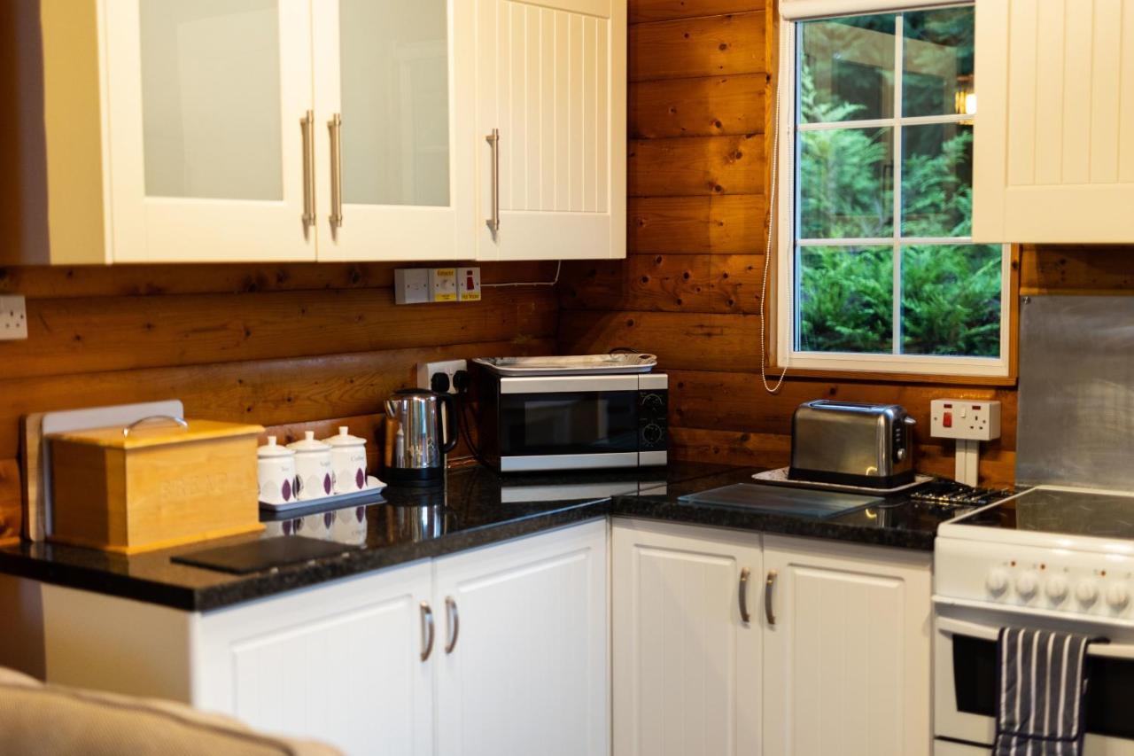 Mountain View Log Cabin In Snowdonia Nr Coed Y Brenin Tanygrisiau المظهر الخارجي الصورة