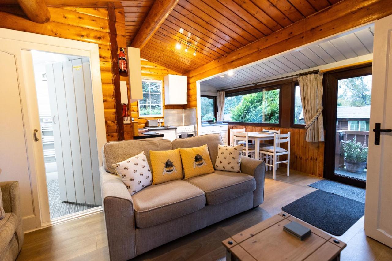 Mountain View Log Cabin In Snowdonia Nr Coed Y Brenin Tanygrisiau المظهر الخارجي الصورة