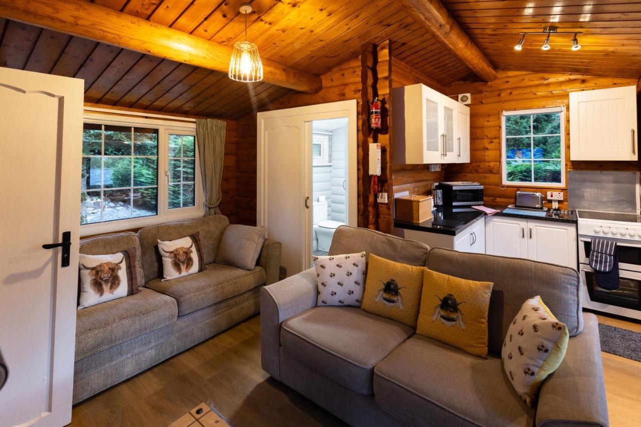 Mountain View Log Cabin In Snowdonia Nr Coed Y Brenin Tanygrisiau المظهر الخارجي الصورة